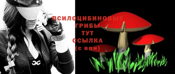 метадон Аркадак