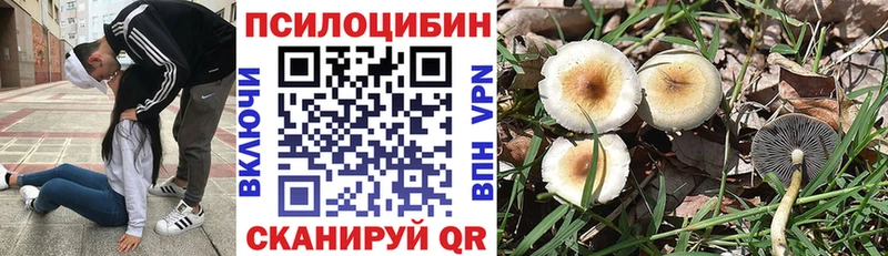 Псилоцибиновые грибы Magic Shrooms  Купить  Балашиха 